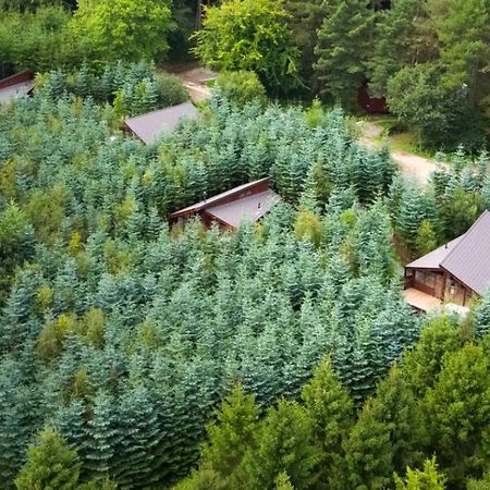 Delamere Forest Cabins - Forest Holidays Mouldsworth Luaran gambar